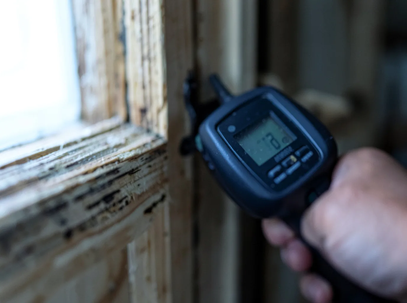 Moisture Inspection And Documentation in Carrollton, KY